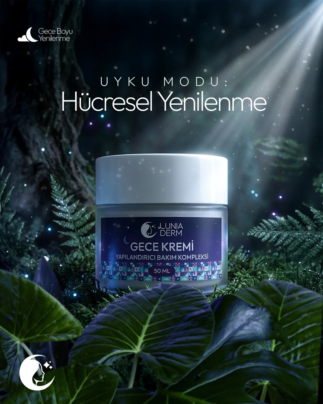 Ay ışığı süzülen orman sahnesinde Lunia Derm gece kremi